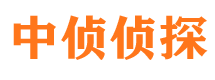 离石市侦探公司